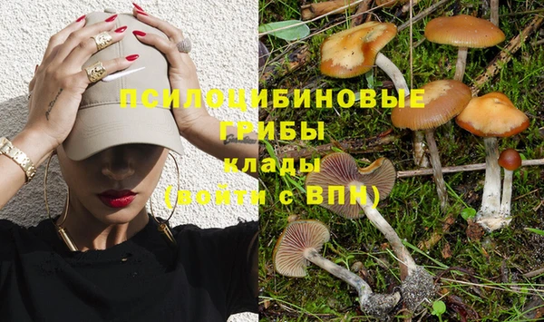 кокаин премиум Богданович