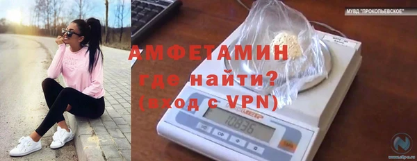 ECSTASY Богородицк