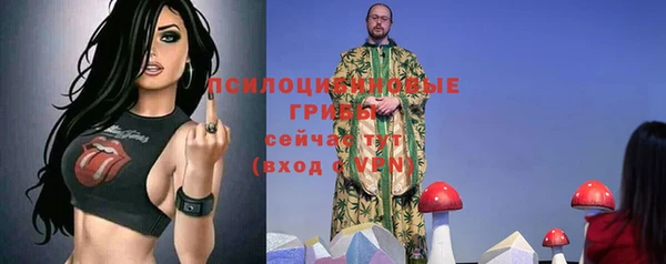 ГАЛЛЮЦИНОГЕННЫЕ ГРИБЫ Богородск