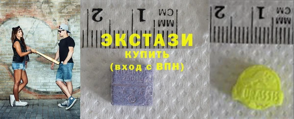 ECSTASY Богородицк